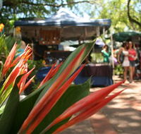 Nightcliff Markets - Attractions Brisbane