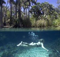 Bitter Springs - Attractions Brisbane