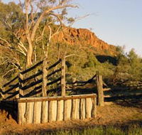 Illamurta Springs Conservation Reserve - Attractions Brisbane