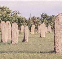 Magnetic Termite Mounds - Attractions Brisbane