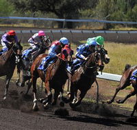 Alice Springs Turf Club - Attractions Brisbane