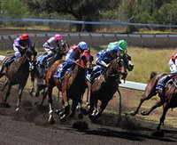 Alice Springs Turf Club