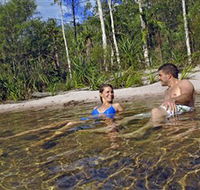 Tjaynera/Sandy Creek Falls - Attractions Brisbane