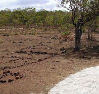 Wurrwurrwuy Garanhan Macassan Beach Interpretive Walk - Attractions Brisbane