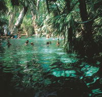 Mataranka Thermal Pool - Attractions Brisbane
