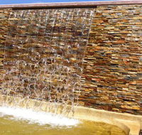 Howard Springs Nature Park - Attractions Brisbane