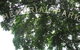 Bulimba Memorial Park - thumb 0