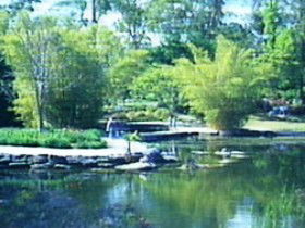 Summit Track - Attractions Brisbane 0