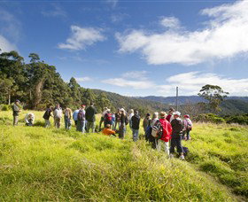 Apple Tree Park - Attractions Brisbane 0