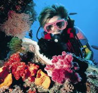 Cook Island Dive Site - Attractions Brisbane