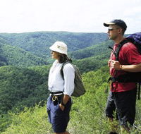 Sunshine Coast Hinterland Great Walk - Attractions Brisbane