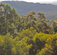 Conondale National Park - Attractions Brisbane
