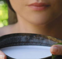Ikatan Day Spa - Attractions Brisbane