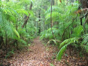 Mapleton QLD Attractions Brisbane