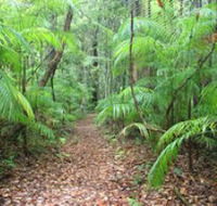 Delicia Road Conservation Park - Attractions Brisbane