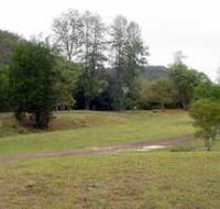 Brooyar State Forest - Attractions Brisbane