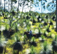 Bicentennial National Trail - Section 5 - Attractions Brisbane