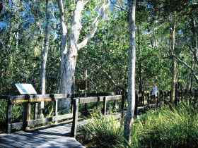 Noosa Heads QLD Attractions Brisbane