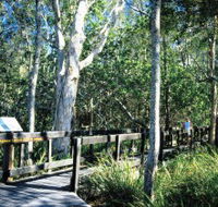 Kinaba Track - Attractions Brisbane