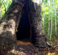 Tewantin National Park - Attractions Brisbane