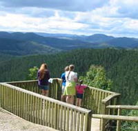 Kenilworth Forest Reserve - Attractions Brisbane