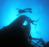 Ex HMAS Brisbane Dive Site - Attractions Brisbane