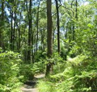 Mapleton Falls National Park - Attractions Brisbane