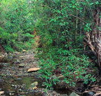 Mudlo National Park - Attractions Brisbane