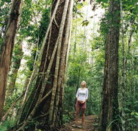 Wet Tropics - Attractions Brisbane