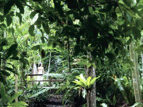 Flecker Botanic Gardens - Attractions Brisbane 0