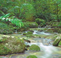 Mossman Gorge Daintree National Park - Attractions Brisbane