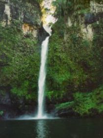 Nandroya Falls Circuit Track, Wooroonooran National Park - Attractions Brisbane 0