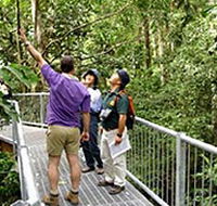 Daintree Discovery Centre - Attractions Brisbane