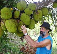 Cape Trib Exotic Fruit Farm - Attractions Brisbane