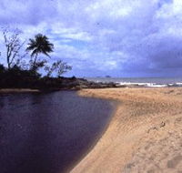 Russell River National Park - Attractions Brisbane