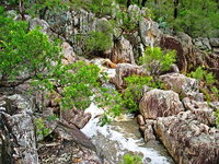 Book Crows Nest Accommodation Vacations Attractions Brisbane Attractions Brisbane