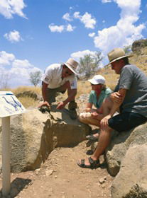Alpurrurulam QLD Attractions Brisbane