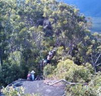 Mia Mia State Forest - Attractions Brisbane