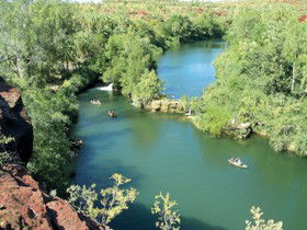 Wild Dog Dreaming, Boodjamulla (Lawn Hill) National Park - Attractions Brisbane 0