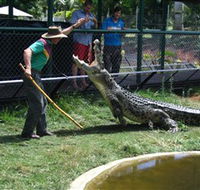 Snakes Downunder Reptile Park and Zoo - Attractions Brisbane