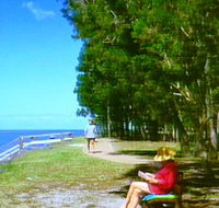 Melaleuca Track - Attractions Brisbane