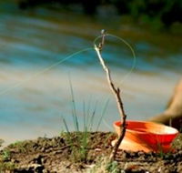 Charleville - Mangalore Warrego River Fishing Spot - Attractions Brisbane