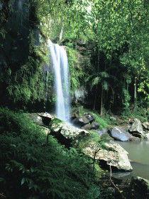Tamborine QLD Attractions Brisbane