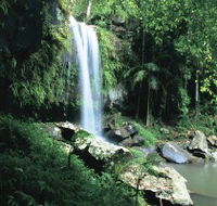 Curtis Falls Joalah Section - Attractions Brisbane
