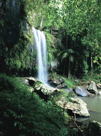 Book Tamborine Accommodation Vacations Attractions Brisbane Attractions Brisbane