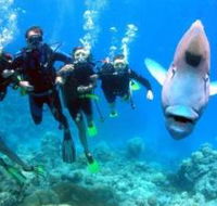Gotham City Dive Site - Attractions Brisbane