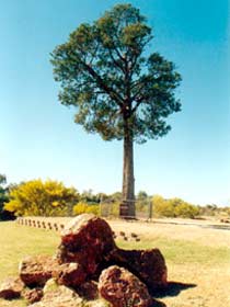 Cuttaburra QLD Attractions Brisbane