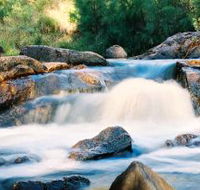 Crows Nest Falls - Attractions Brisbane
