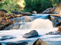 Crows Nest Falls