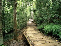 Book Malanda Accommodation Vacations Attractions Brisbane Attractions Brisbane